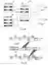 Fig. 08 - DATA RECORDING AND PLAYBACK SYSTEM AND METHOD