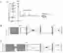 Fig. 01 - High fidelity configuration for two-photon SLM microscopy