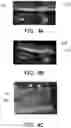 Fig. 08 - Projection device, projection system and image correction method