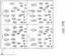 Fig. 41 - Selective packing of patches for immersive video