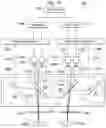 Fig. 09 - Medical devices, systems, and methods using eye gaze tracking for stereo viewer