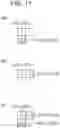 Fig. 16 - Arithmetic decoding device, image decoding apparatus, arithmetic coding device, and image coding apparatus