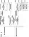 Fig. 19 - Video distribution system, terminal device, and video data distribution device