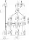 Fig. 23 - Video refinement mechanism