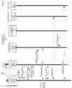Fig. 06 - Wireless network management and online signup of services