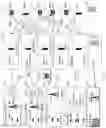 Fig. 06 - Distributed multi-HNG son