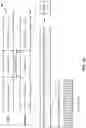 Fig. 04 - Separate measurement and reporting for different transmit receive points