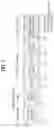 Fig. 02 - Method for physical uplink control channel transmission/reception between terminal and base station in wireless communication system, and apparatus supporting same