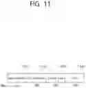 Fig. 12 - Method and apparatus for performing uplink transmission in wireless LAN system