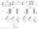 Fig. 01 - COMMUNICATION SYSTEM