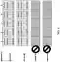 Fig. 04 - Uplink Scheduling For NR-U
