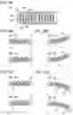 Fig. 03 - Circuit board and display system