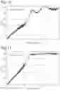 Fig. 09 - ELECTROMAGNETIC-WAVE-ABSORBING COMPOSITE SHEET