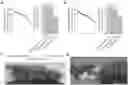 Fig. 01 - Compositions and methods for identifying and selecting brachytic locus in solanaceae