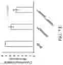 Fig. 12 - Compositions and methods for identifying and selecting brachytic locus in solanaceae