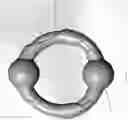 Fig. 03 - DURABLE DOG TOY