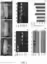 Fig. 03 - Swine Comprising Modified CD163 and Associated Methods