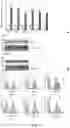 Fig. 07 - Swine Comprising Modified CD163 and Associated Methods