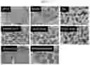 Fig. 03 - Methods of preserving the biological activity of ribonucleic acids