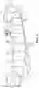 Fig. 02 - APPARATUS AND METHOD FOR CHILLING OR FREEZING