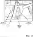 Fig. 33 - Pepper de-stemming methods and apparatus