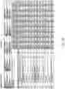 Fig. 23 - Reduced-coverage back-smoothing brassiere