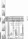 Fig. 24 - Reduced-coverage back-smoothing brassiere
