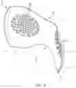 Fig. 05 - Hats and attachment systems for use with hats
