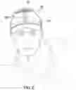 Fig. 06 - Absorptive Cap Liner