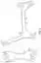 Fig. 03 - ARTICLES OF FOOTWEAR
