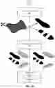 Fig. 17 - Midsole structure of an article of footwear including mesh
