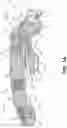 Fig. 02 - Adjustable foot support systems including fluid-filled bladder chambers