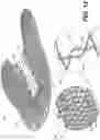 Fig. 09 - Three-dimensional printing of a traced element