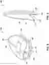 Fig. 06 - Makeup tool and applicator