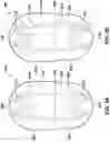 Fig. 03 - Container for cosmetic sponge applicator