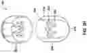 Fig. 07 - Container for cosmetic sponge applicator