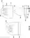 Fig. 13 - Container for cosmetic sponge applicator