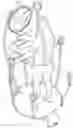 Fig. 01 - Full body dryer