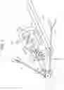 Fig. 05 - Medical observation system, apparatus for controlling the same, and method for controlling the same