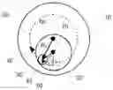 Fig. 01 - DEVICE FOR DIAGNOSING A TISSUE