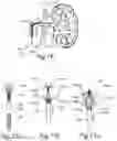 Fig. 09 - CONTROLLED SYMPATHECTOMY AND MICRO-ABLATION SYSTEMS AND METHODS