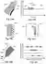 Fig. 10 - CONTROLLED SYMPATHECTOMY AND MICRO-ABLATION SYSTEMS AND METHODS