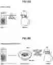 Fig. 09 - INGESTIBLE SENSOR, SENSING METHOD, AND FOOD