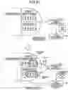 Fig. 32 - INGESTIBLE SENSOR, SENSING METHOD, AND FOOD