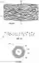 Fig. 06 - Analyte sensing biointerface