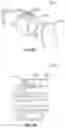 Fig. 08 - ARTERIAL SYRINGE ASSEMBLY