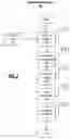 Fig. 03 - SYSTEM FOR CHARACTERIZING CARDIOVASCULAR SYSTEMS FROM SINGLE CHANNEL DATA