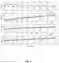 Fig. 13 - METHOD AND SYSTEM FOR CARDIOVASCULAR RISK ASSESSMENT USING PROGRAMMED ACTIVITY OF DAILY LIVING