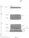 Fig. 06 - Modular piezoelectric sensor array with co-integrated electronics and beamforming channels