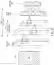 Fig. 23 - METHODS AND APPARATUSES FOR DETERMINING AND DISPLAYING LOCATIONS ON IMAGES OF BODY PORTIONS BASED ON ULTRASOUND DATA